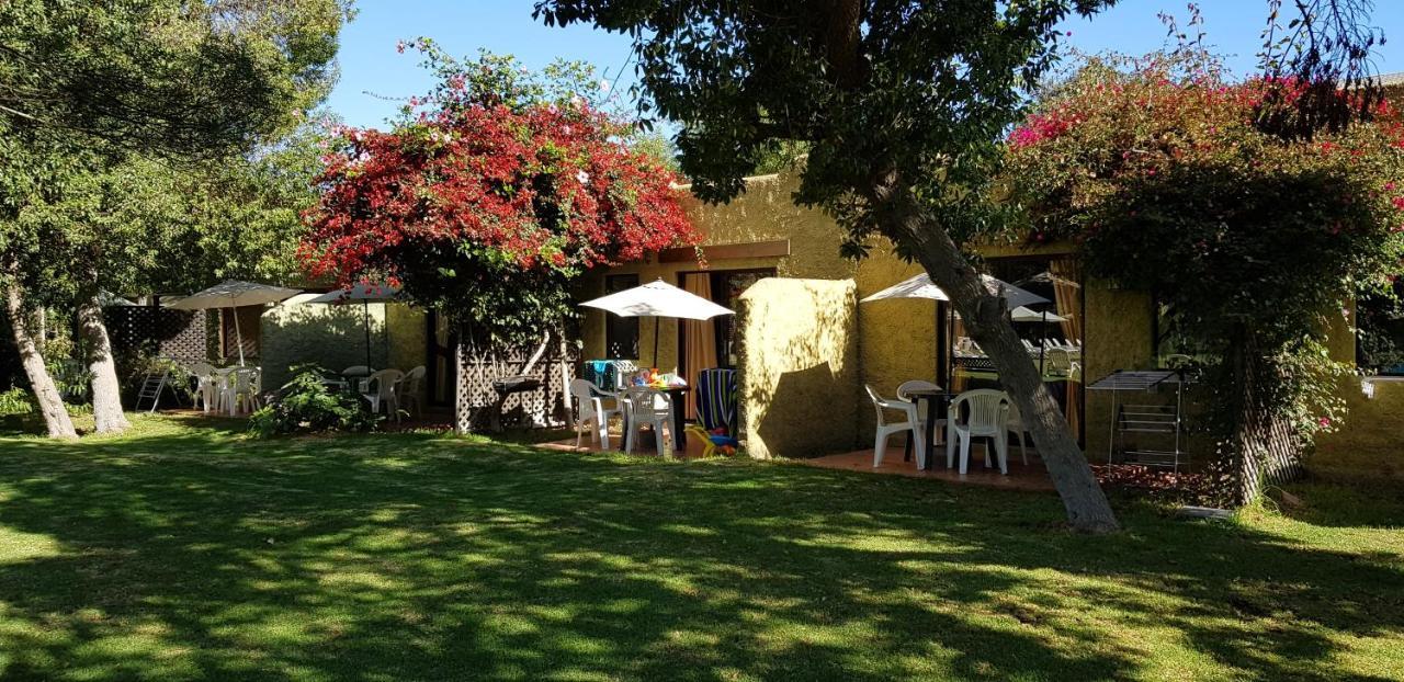 Stellamar Apart Hotel La Serena Eksteriør billede